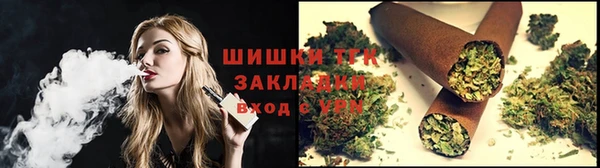 индика Зеленодольск