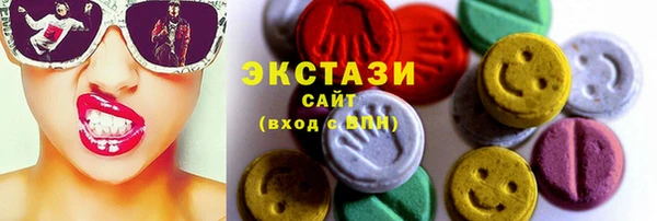 индика Зеленодольск