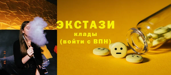 индика Зеленодольск