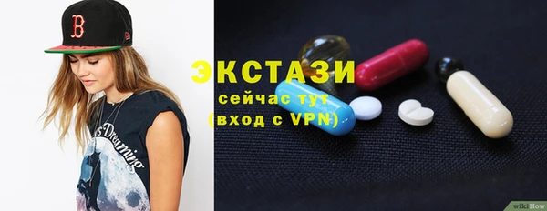 индика Зеленодольск