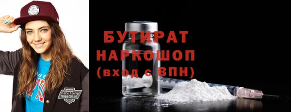 индика Зеленодольск