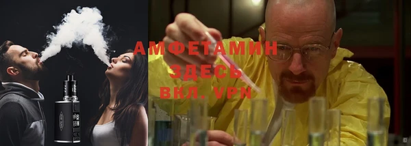индика Зеленодольск