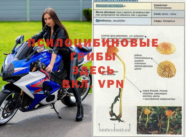 индика Зеленодольск