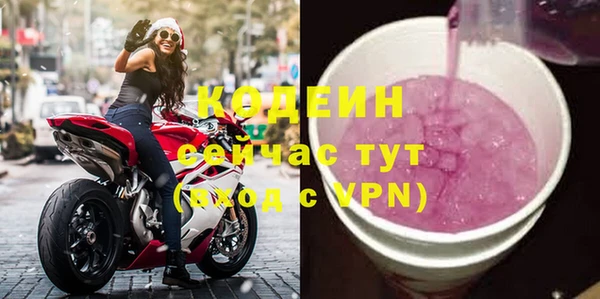 индика Зеленодольск