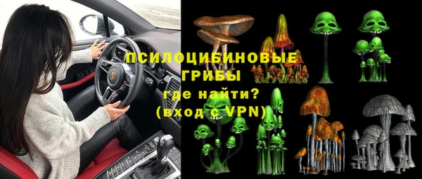дживик Инсар