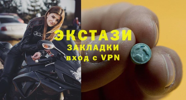 индика Зеленодольск