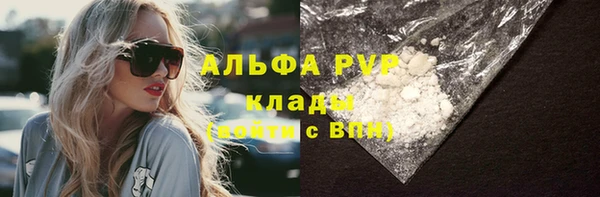индика Зеленодольск