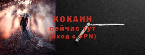 индика Зеленодольск