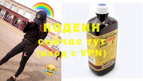 индика Зеленодольск