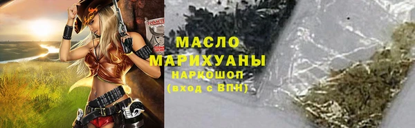 индика Зеленодольск