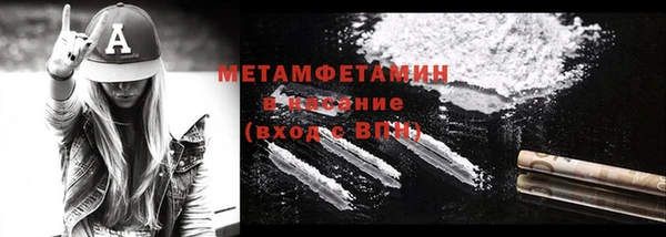 индика Зеленодольск