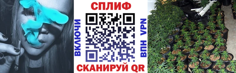 Купить закладки  Санкт-Петербург  Марихуана AK-47 